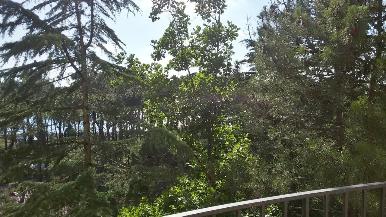 Studio Apartment With Great View Ureki Zewnętrze zdjęcie